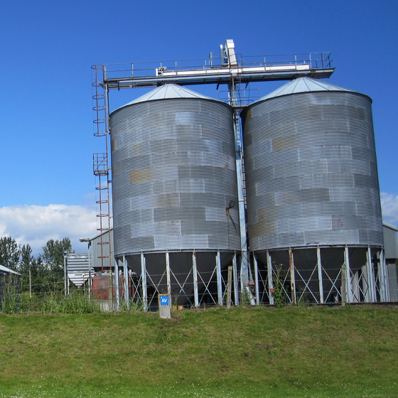 Two grain silos towering in front of a grain warehouse. A clear blue sky above and green grass in the foreground.